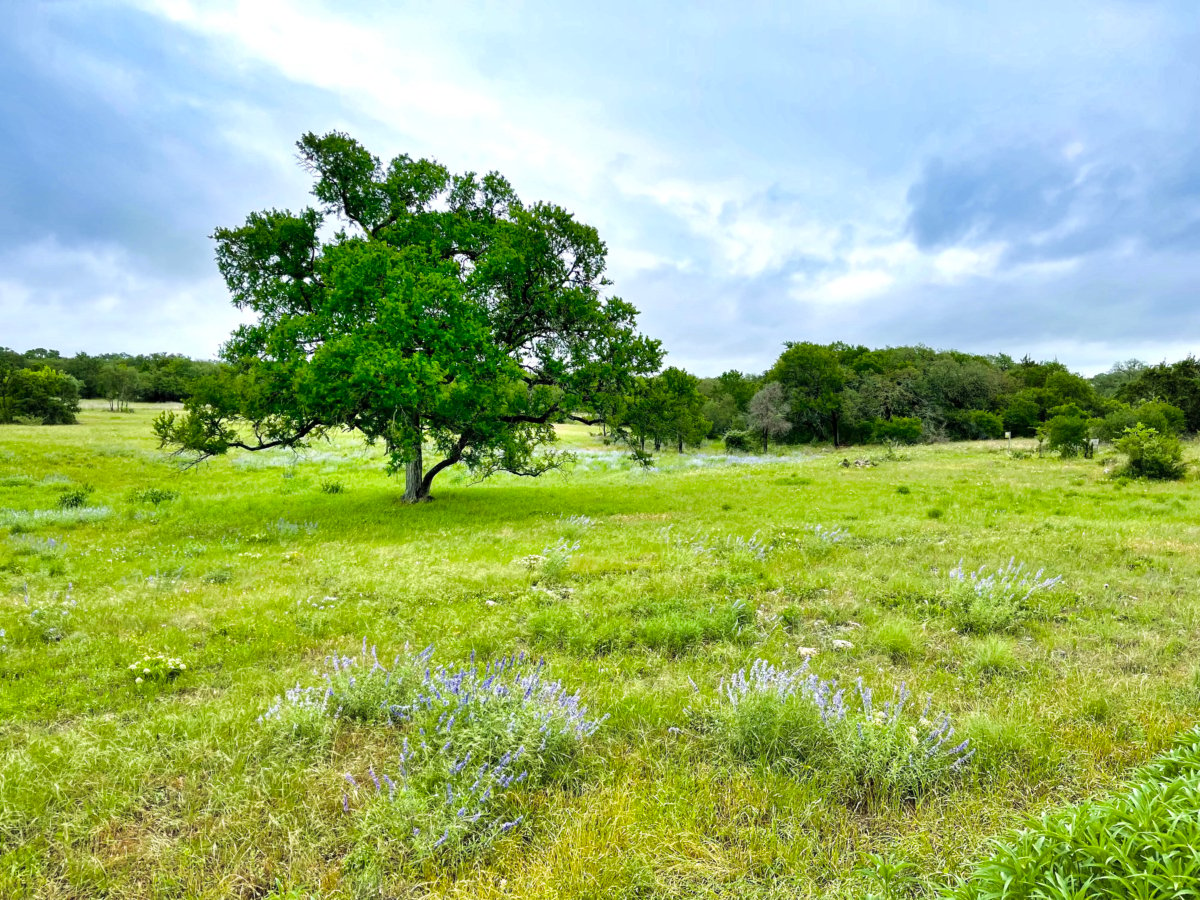 Explore LBJ Ranch and the Texas Hill Country 41