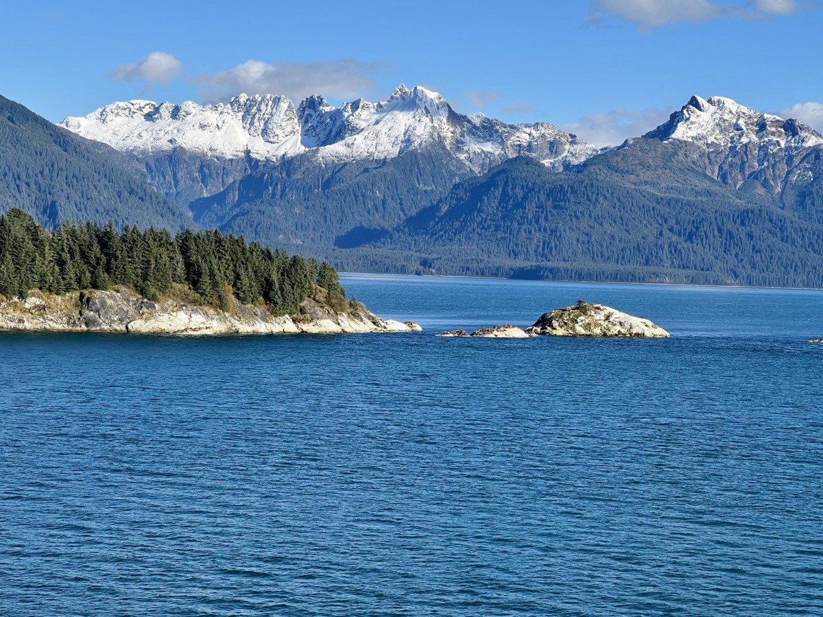 Glacier Bay sea lions on rocks