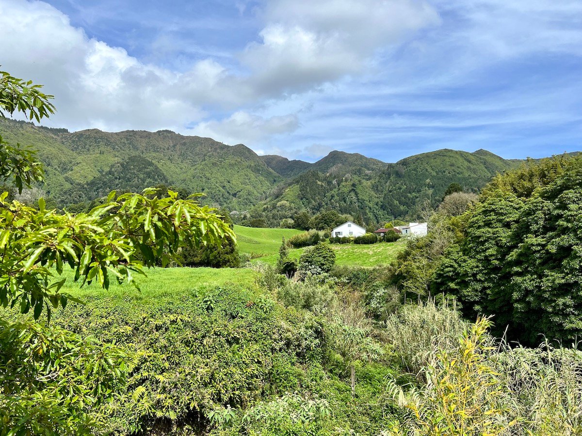 Azores landscape