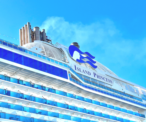 island princess cruises reviews