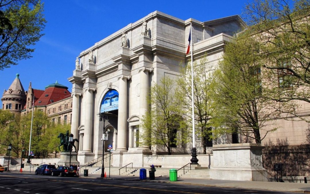 20 Quirky Museums Across America You Won’t Believe Exist